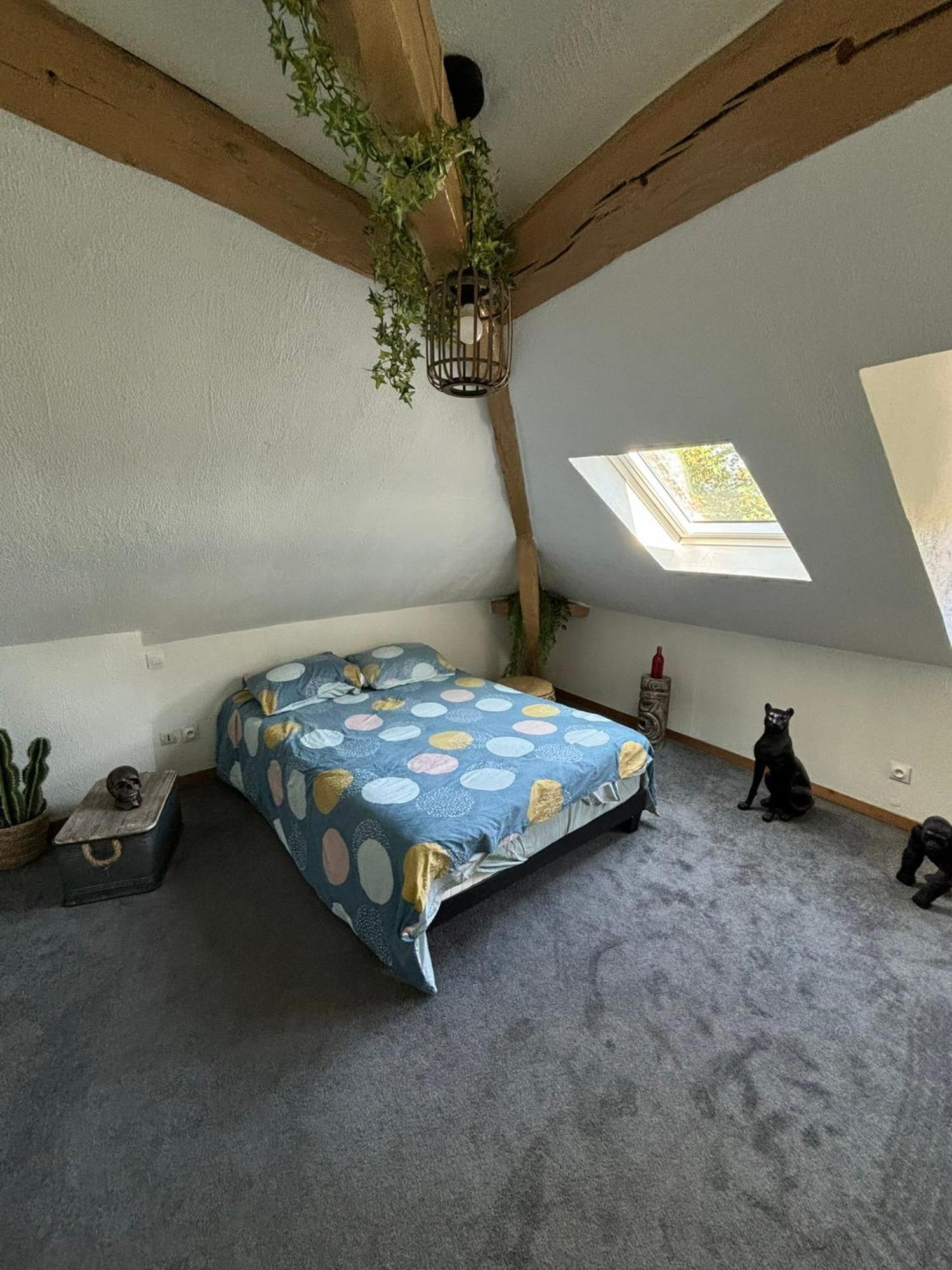 Jungle Cosy Lejlighed Louviers Eksteriør billede