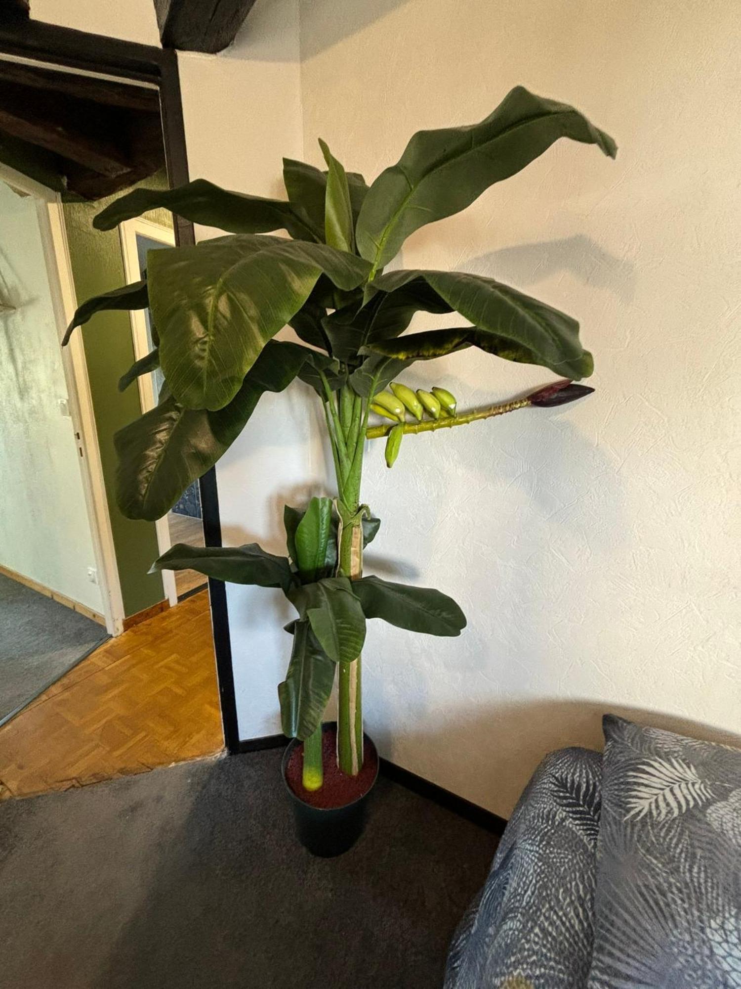 Jungle Cosy Lejlighed Louviers Eksteriør billede
