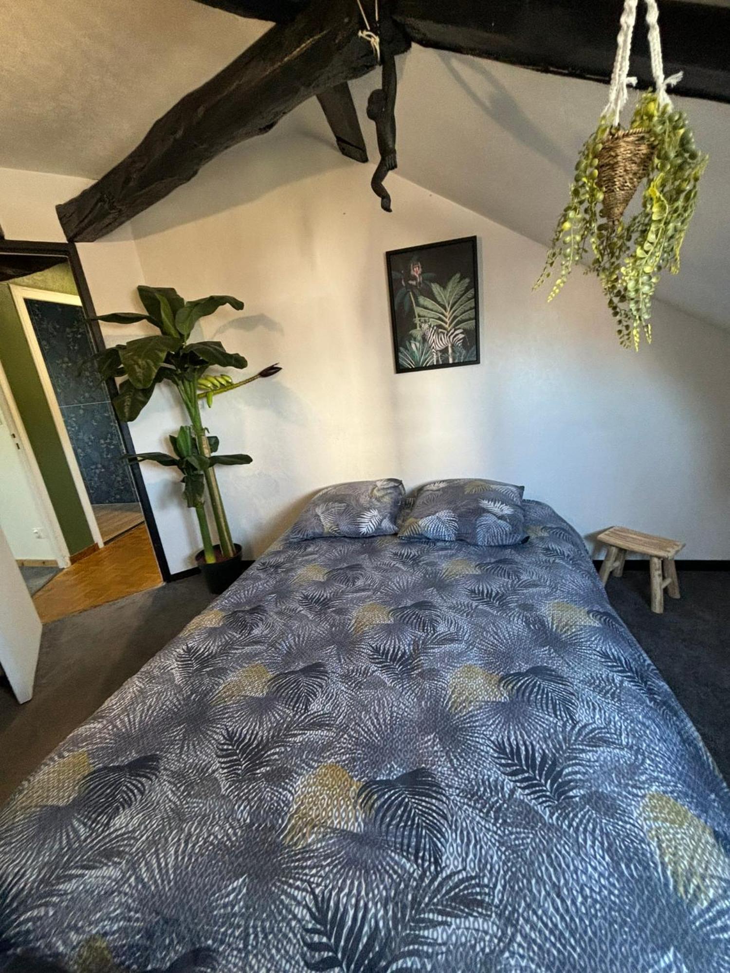 Jungle Cosy Lejlighed Louviers Eksteriør billede